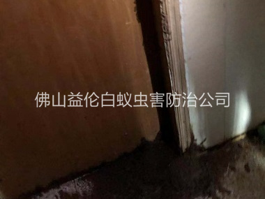 云东海房屋防治白蚁工程
