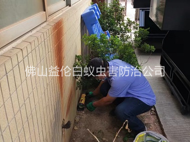 南边投放灭鼠装置工程