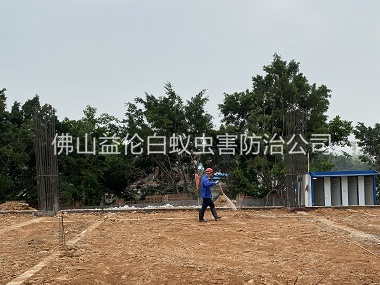 芦苞新建地基预防白蚁工程