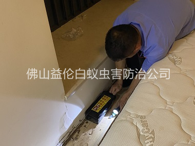 西南家居白蚁灭治工程