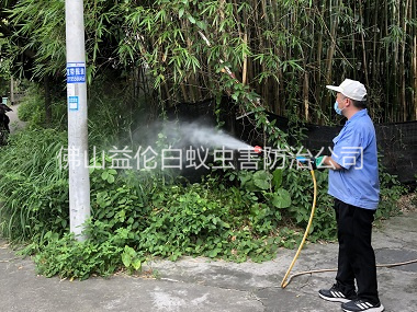 白坭有害生物消杀工程