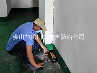 范湖电房灭杀白蚁工程