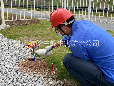 白坭红火蚁防治工程