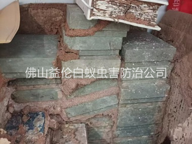 三水防治白蚁危害工程