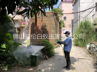 三水村庄灭蚊预防“两热”工程